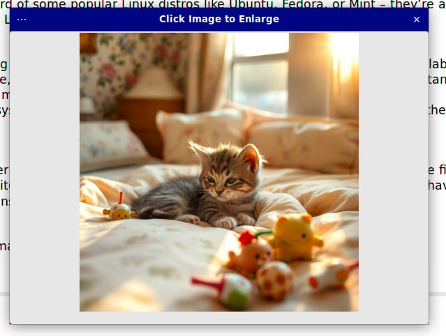 Image generator.